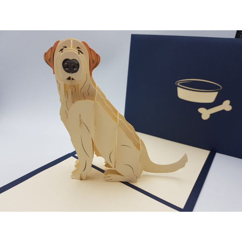 3d Pop up Card - Labrador-Nook & Cranny Gift Store-2019 National Gift Store Of The Year-Ireland-Gift Shop