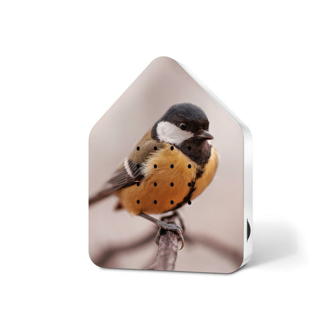 Limited Edition 'Listen to Nature' - Great Tit-Nook & Cranny Gift Store-2019 National Gift Store Of The Year-Ireland-Gift Shop