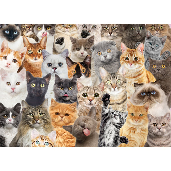 All the Cats (500 Piece Puzzle)-Nook & Cranny Gift Store-2019 National Gift Store Of The Year-Ireland-Gift Shop