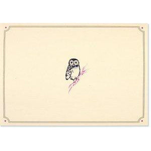 Box Set 14 Note Cards & 15 Envelopes - Owl Portrait-Nook & Cranny Gift Store-2019 National Gift Store Of The Year-Ireland-Gift Shop